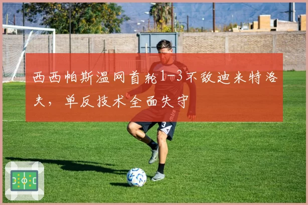 西西帕斯温网首轮1-3不敌迪米特洛夫，单反技术全面失守